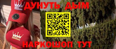 гидра Можга