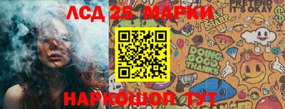 гидра Можга