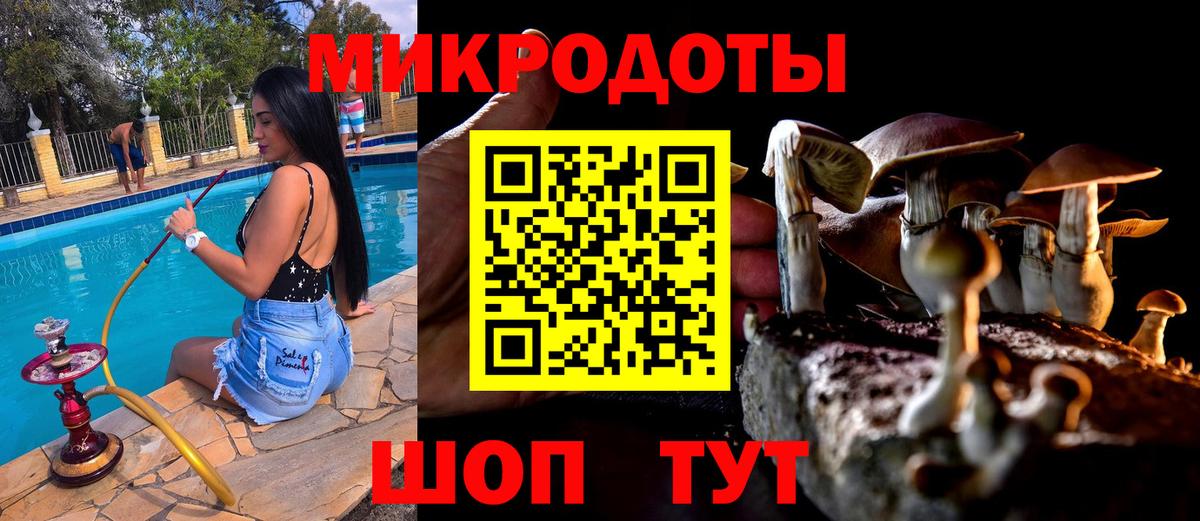 Советская Гавань  Псилоцибиновые грибы мицелий  Вход с VPN  Галлюциногенные грибы ЛСД 